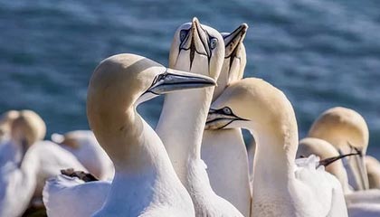 爱游戏官网-“福乐球激战！新都香城体育中心热力四射”