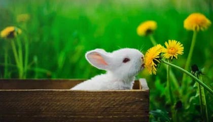 爱游戏官网-“福乐球激战！新都香城体育中心热力四射”