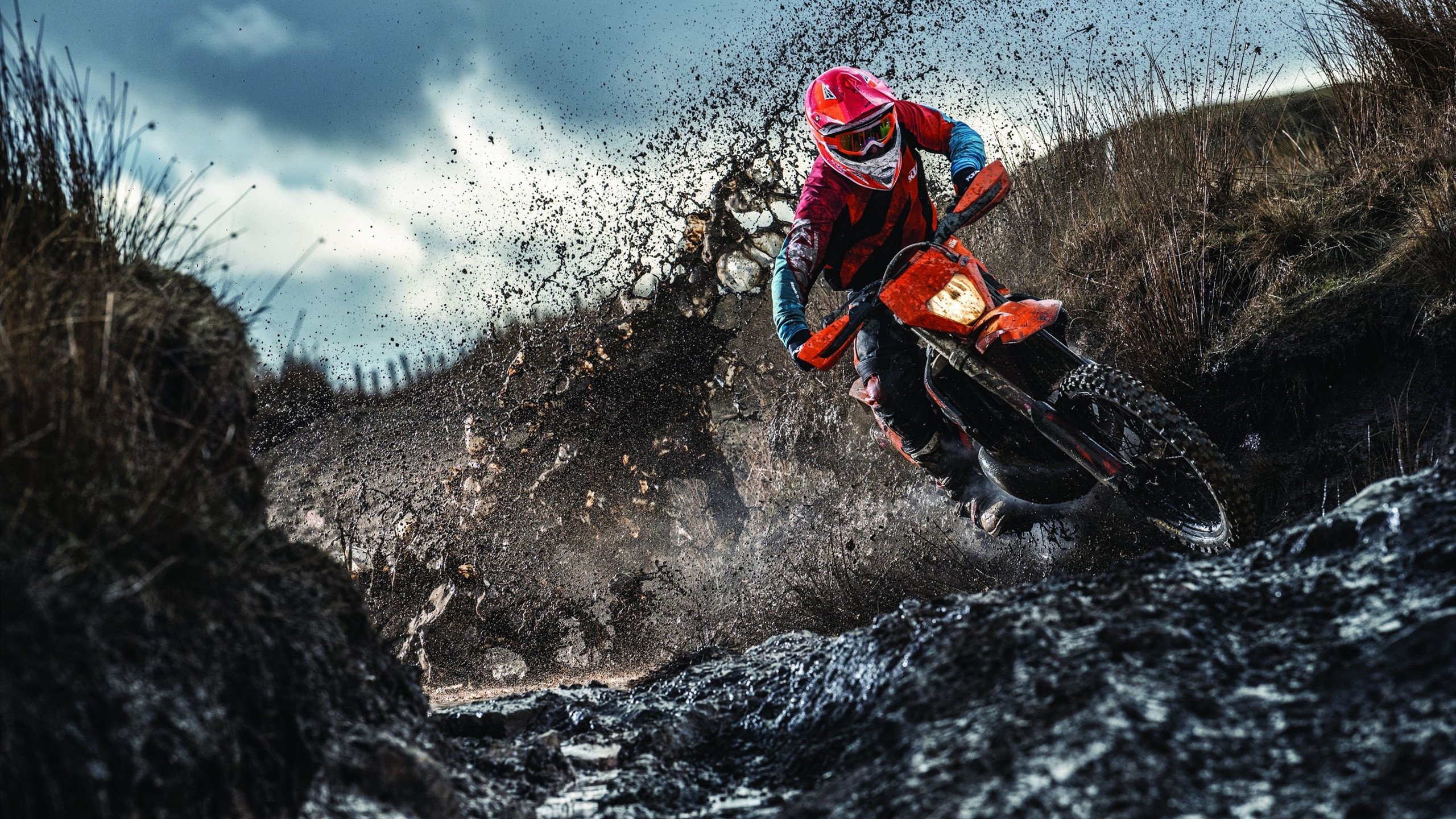 守望先锋 电竞市场持续扩张，守望先锋年度电竞游戏