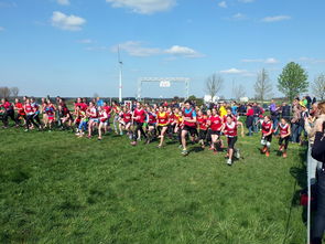 爱游戏-世界青少年滑板锦标赛吸引众多新锐少年，2021青少年滑板锦标赛