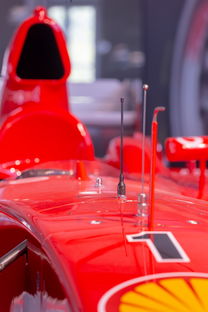 AYX官网-全国青少年旱地冰球锦标赛在哈尔滨精彩展开，旱地冰球比赛时间